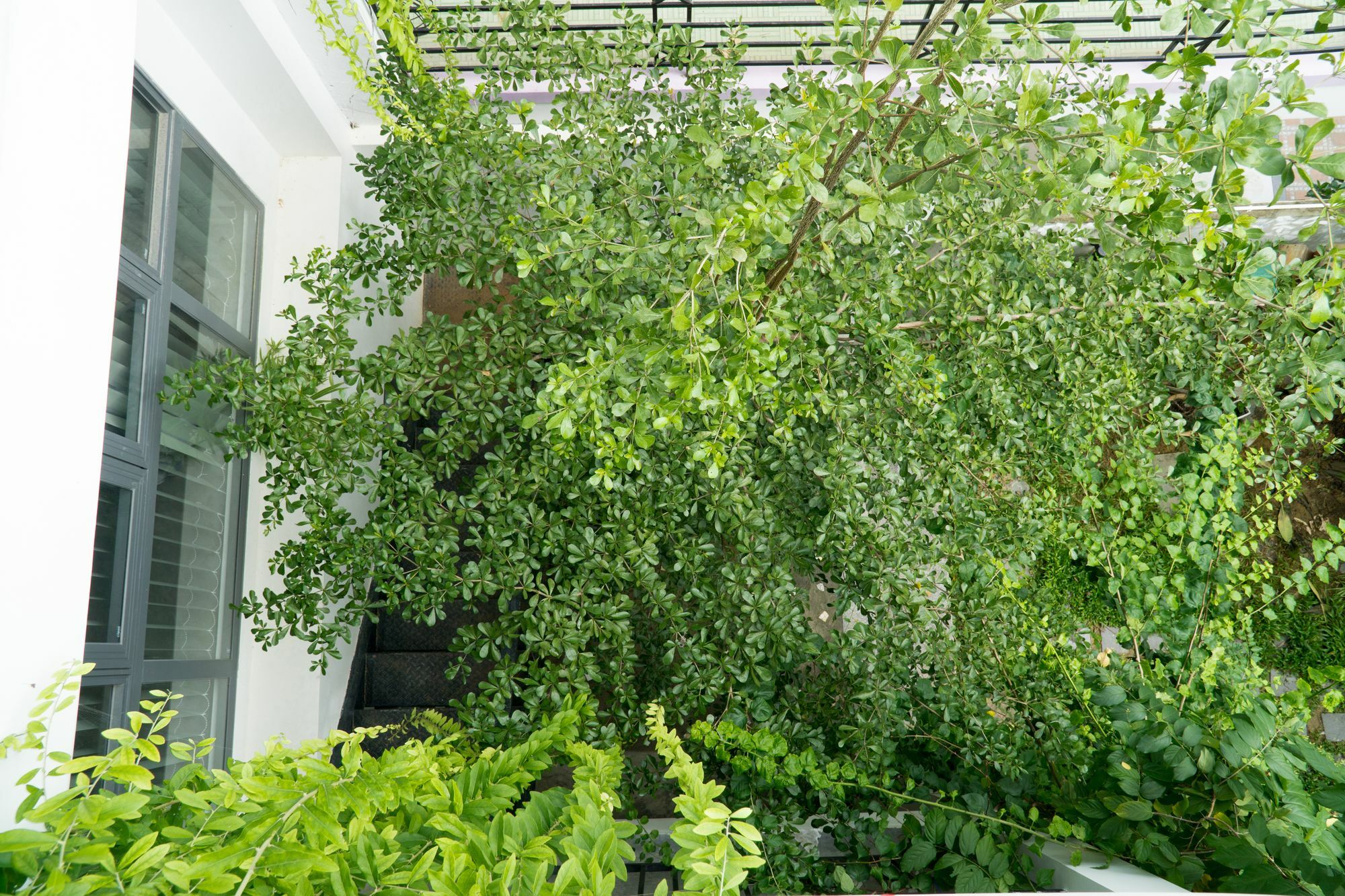 Kiu House - 3Br - Green & Artistic Da Nang Exterior photo
